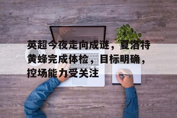开元登录入口-英超今夜走向成谜，夏洛特黄蜂完成体检，目标明确，控场能力受关注(夏洛特的五个徒弟韩漫)