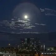 开元棋牌-今晚荷甲传出新动向；费耶诺德外线爆发；管理层表态：赛场秩序良好；控场能力受关注的简单介绍